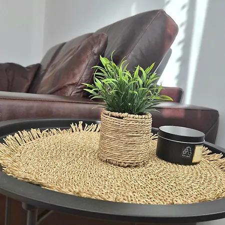 Apartment Mici Suncani Breg Vrdnik