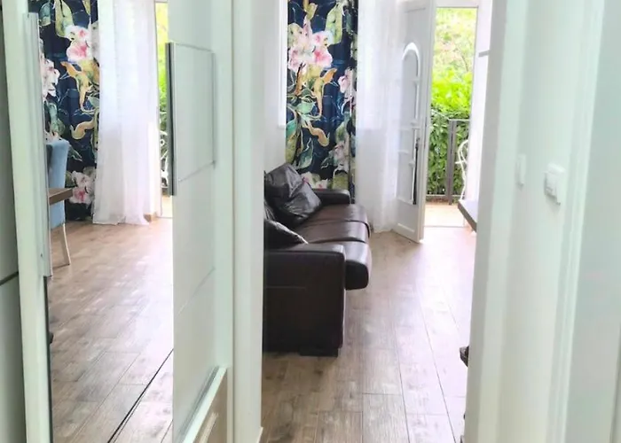 Mici Suncani Breg Vrdnik