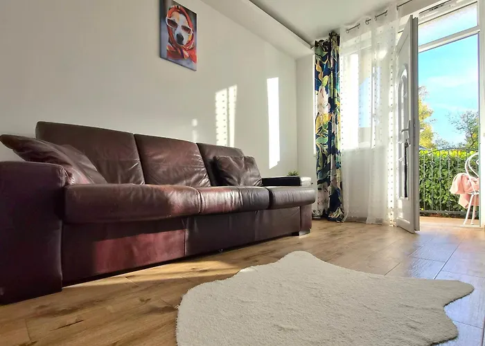 Mici Suncani Breg Vrdnik